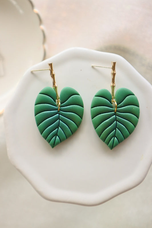 Monstera Leaf