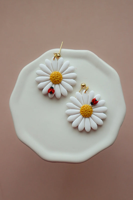 Flower & Garden Daisy